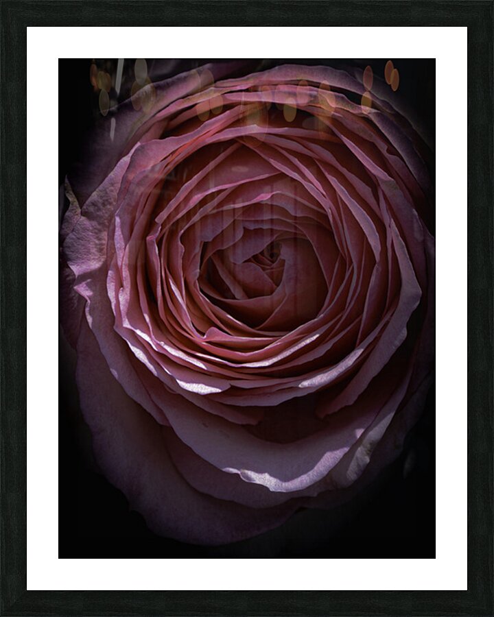 FLO 2711 Picture Frame print