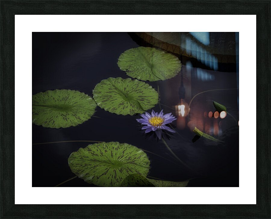 FLO 2703 Picture Frame print