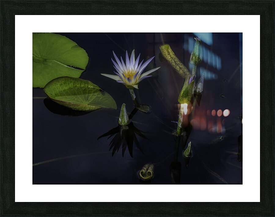 FLO 2702 Picture Frame print