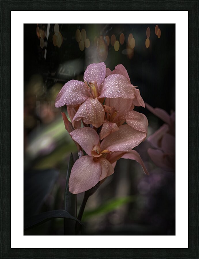 FLO 2707 Picture Frame print