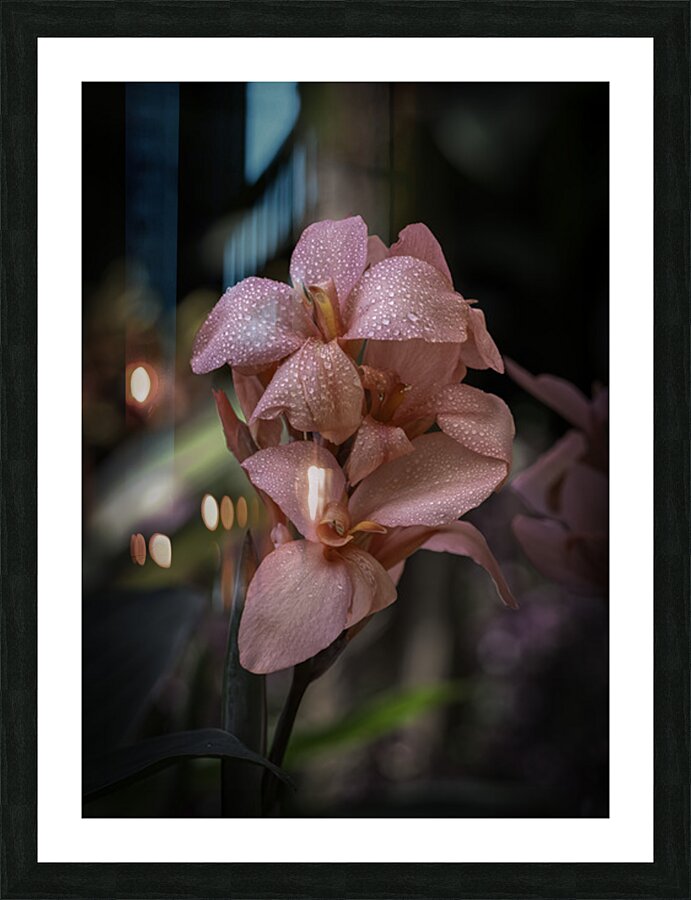 FLO 2707 Picture Frame print