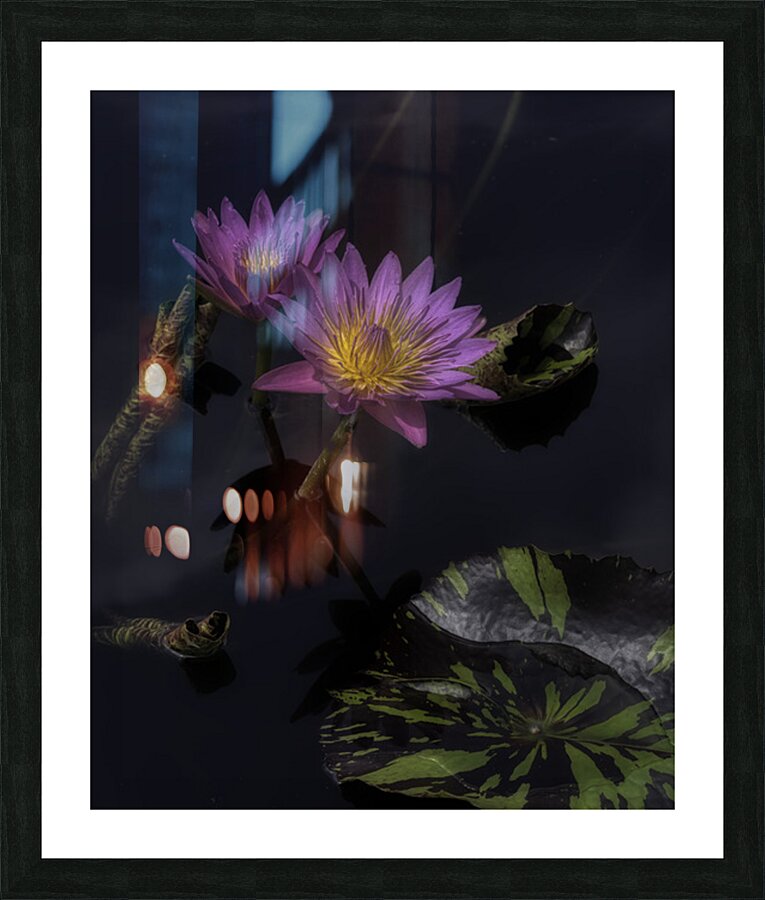 FLO 2701 Picture Frame print