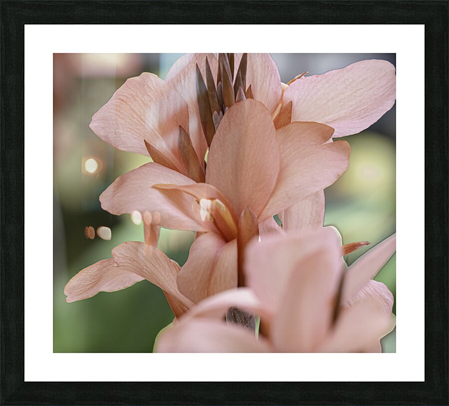 FLO 2708 Picture Frame print