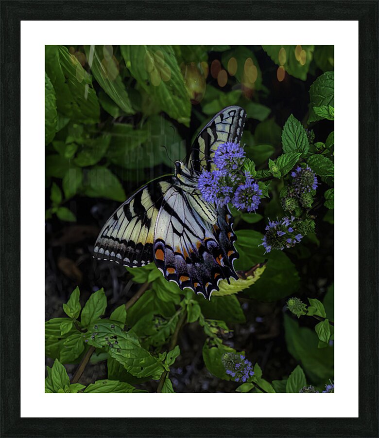 INS 2674 Picture Frame print