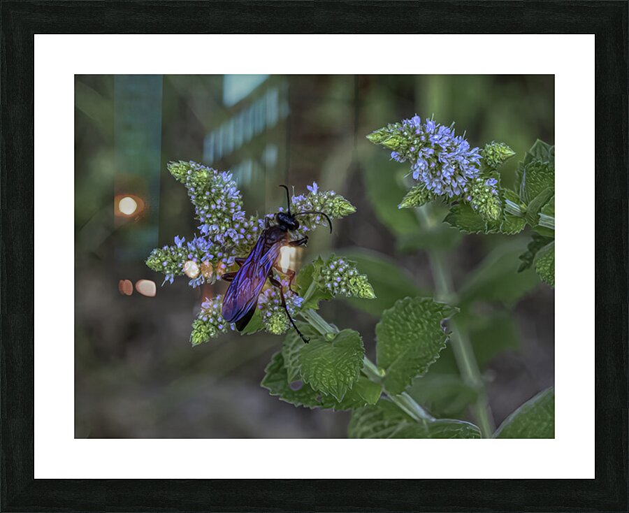INS 2676 Picture Frame print