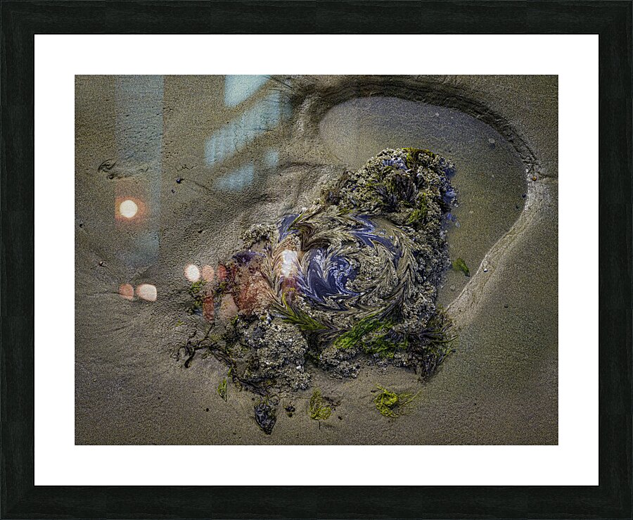 ABS 00057 Picture Frame print