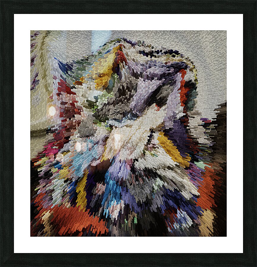 ABS 00017 Picture Frame print