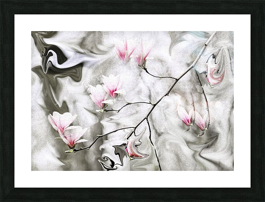 ABS 00024 Picture Frame print