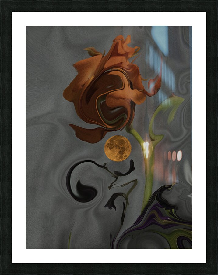 ABS 00034 Picture Frame print