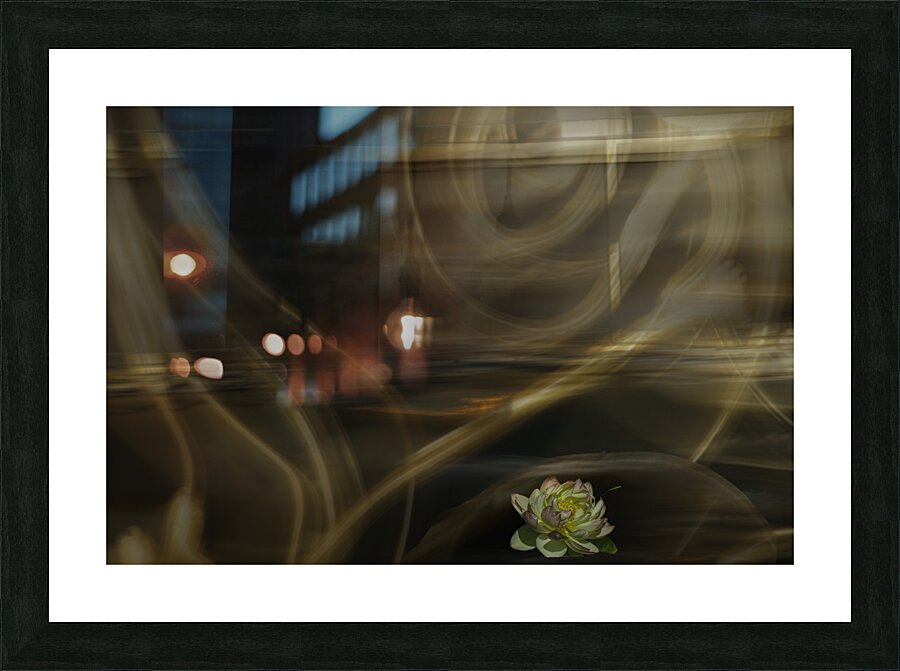 ABS 00045 Picture Frame print