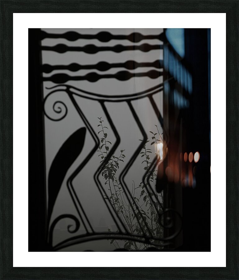 ABS 00050 Picture Frame print