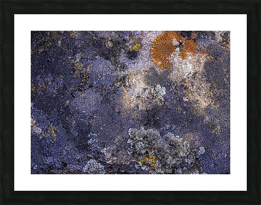 ABS 00063 Picture Frame print