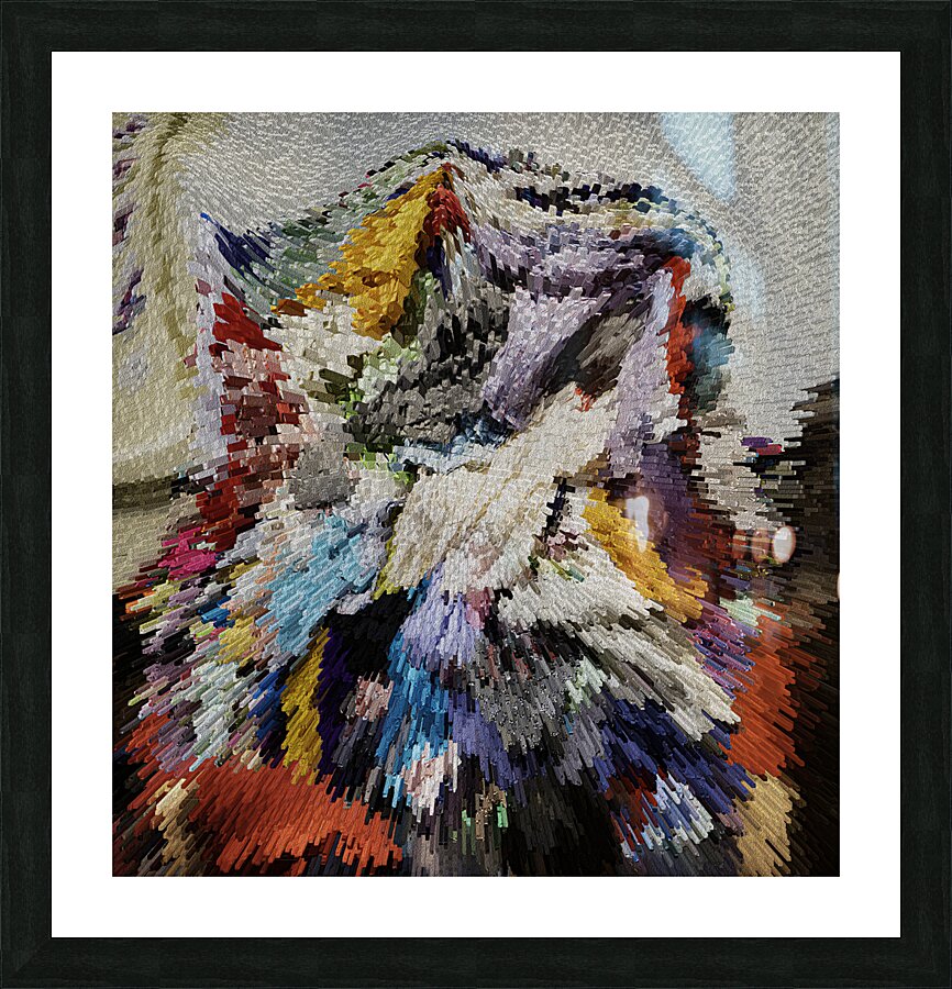 ABS 00060 Picture Frame print