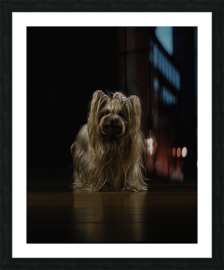 ANI 00110 Picture Frame print
