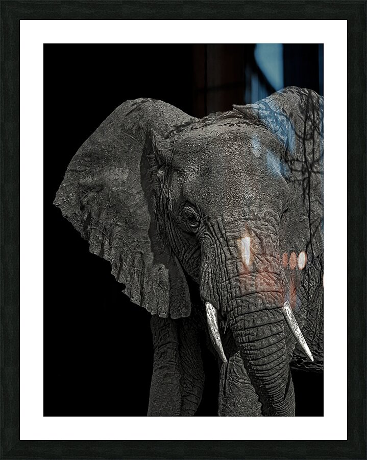 ANI 00100 Picture Frame print