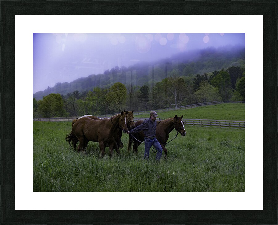 ANI 00108 Picture Frame print