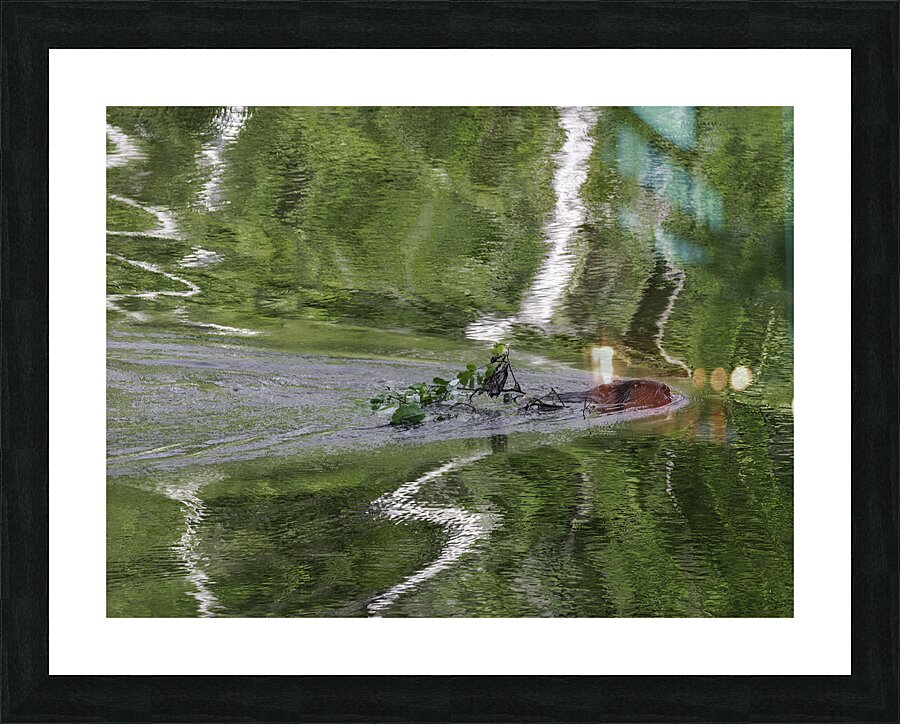 ANI 00118 Picture Frame print