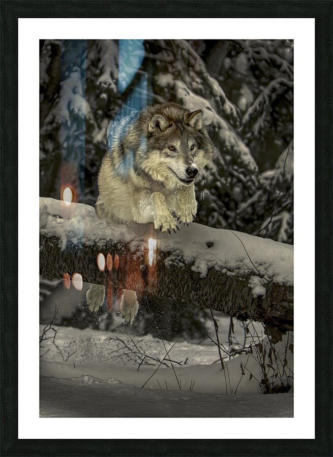 ANI 00148 Picture Frame print