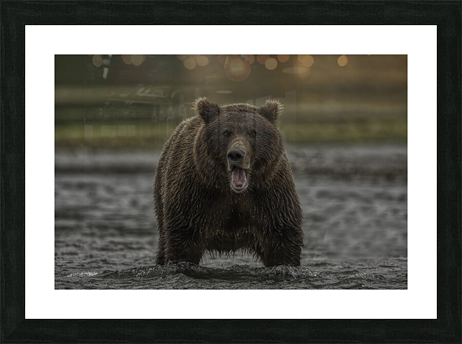 ANI 00136 Picture Frame print