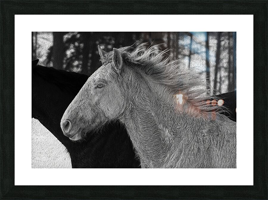 ANI 00158 Picture Frame print