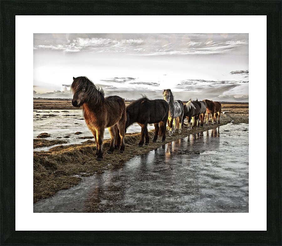 ANI 00182 Picture Frame print
