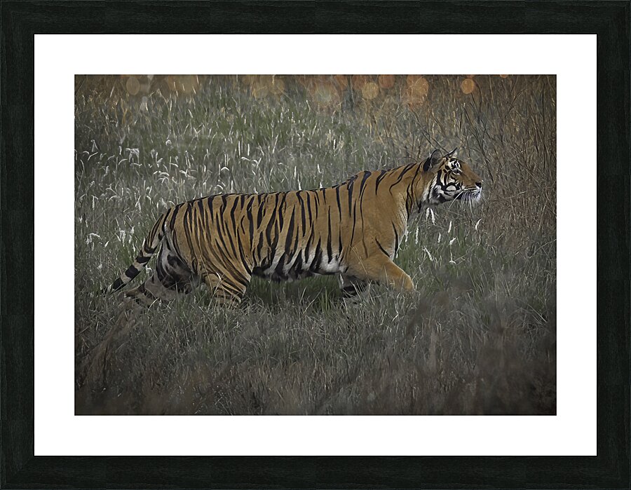 ANI 00184 Picture Frame print
