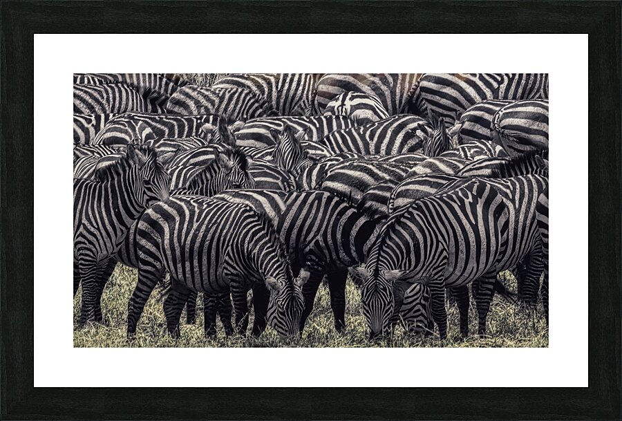 ANI 00210 Picture Frame print