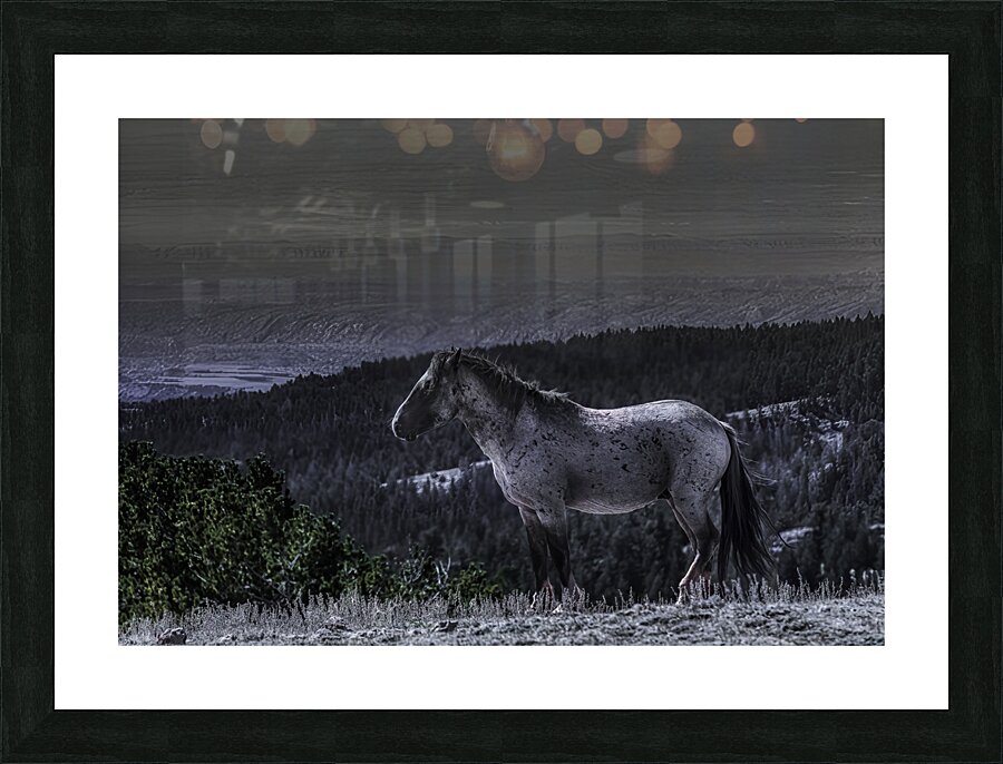 ANI 00196 Picture Frame print