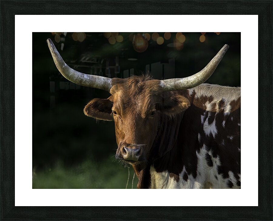 ANI 00199 Picture Frame print