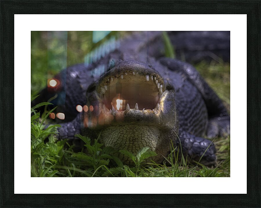 ANI 00190 Picture Frame print