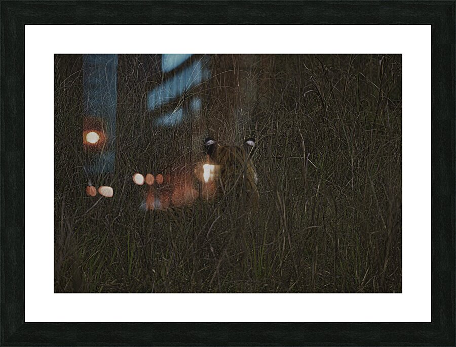 ANI 00183 Picture Frame print
