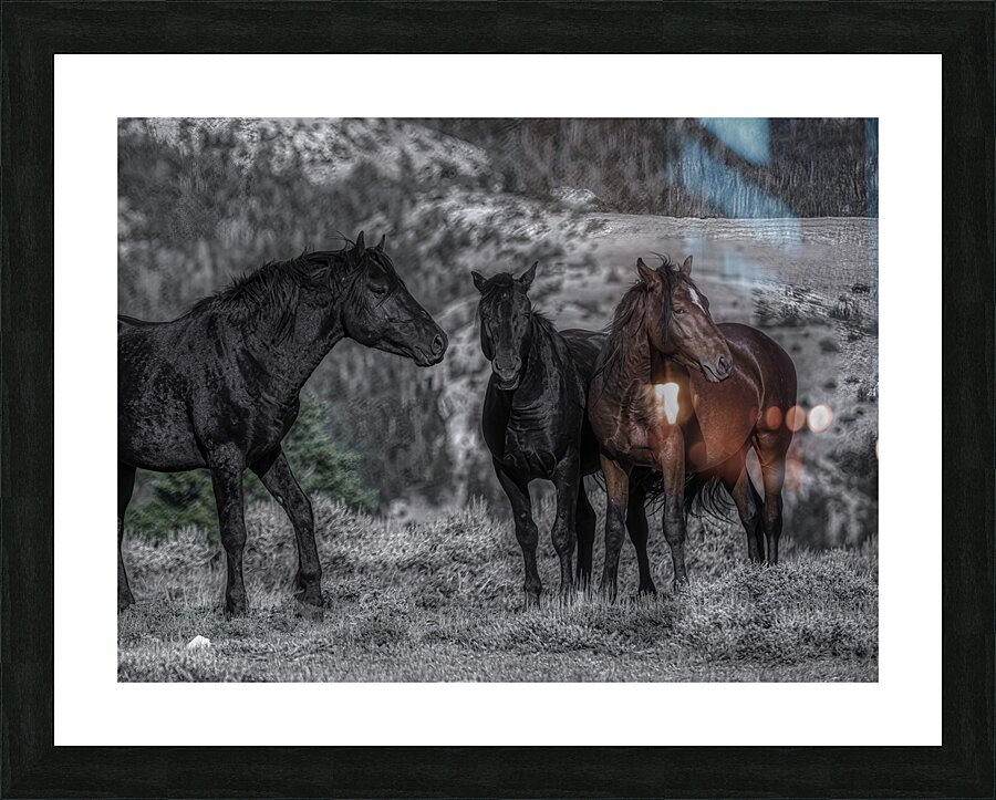 ANI 00197 Picture Frame print
