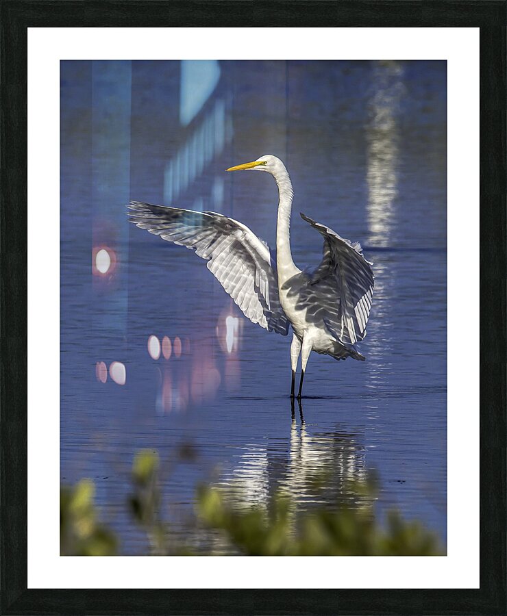 BIR 00229 Picture Frame print