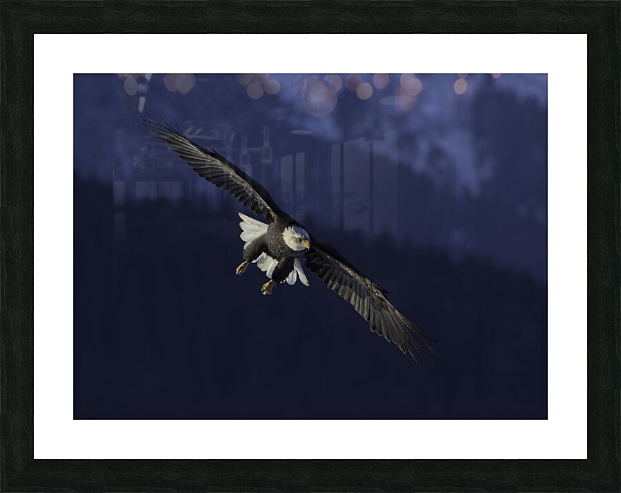 BIR 00212 Picture Frame print