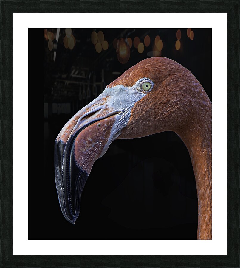 BIR 00230 Picture Frame print
