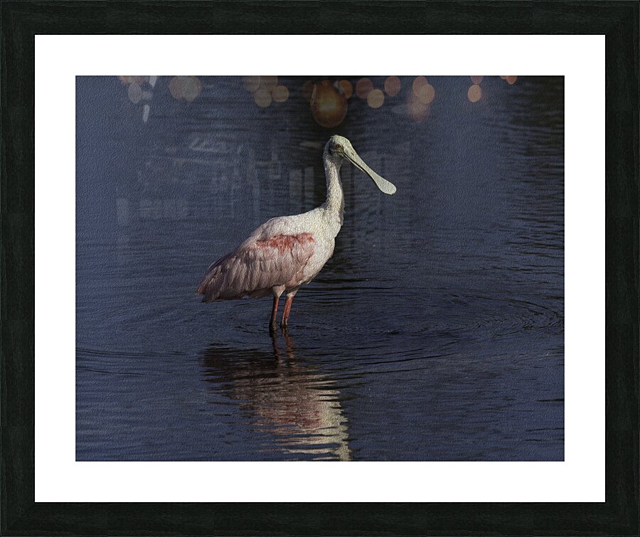 BIR 00222 Picture Frame print