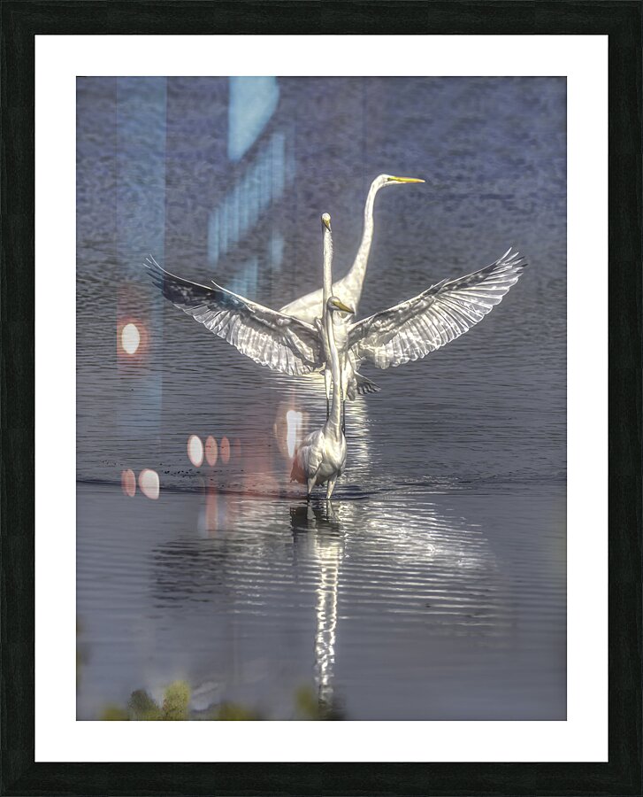 BIR 00228 Picture Frame print