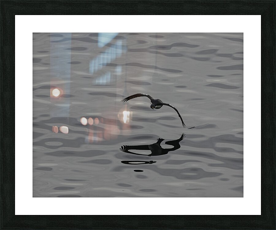 BIR 00240 Picture Frame print