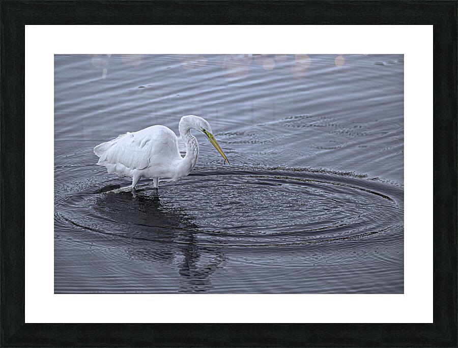 BIR 00220 Picture Frame print