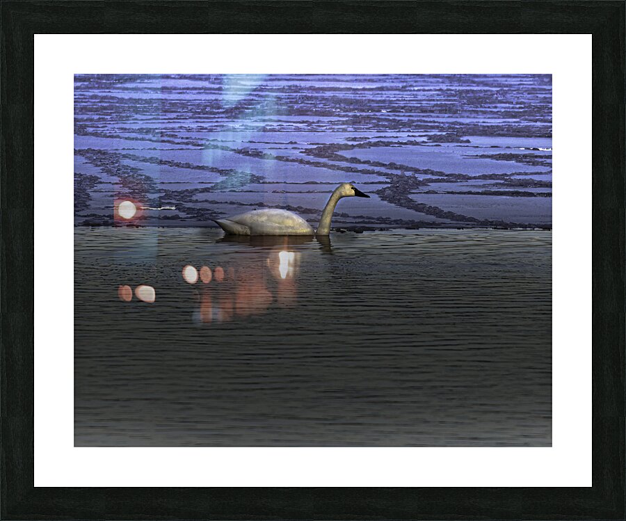 BIR 00264 Picture Frame print