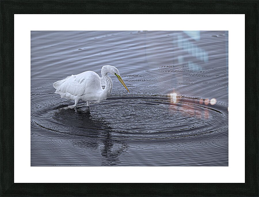 BIR 00281 Picture Frame print