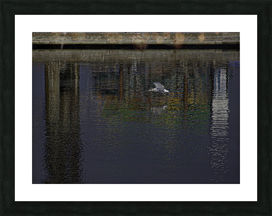 BIR 00250 Picture Frame print