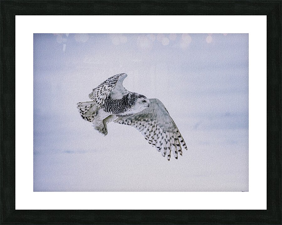 BIR 00243 Picture Frame print