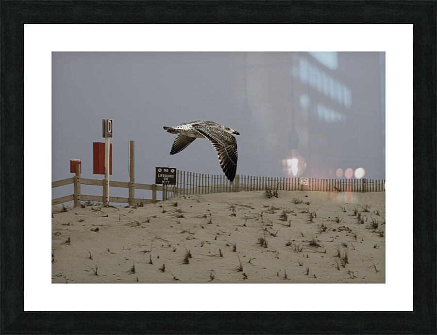 BIR 00309 Picture Frame print