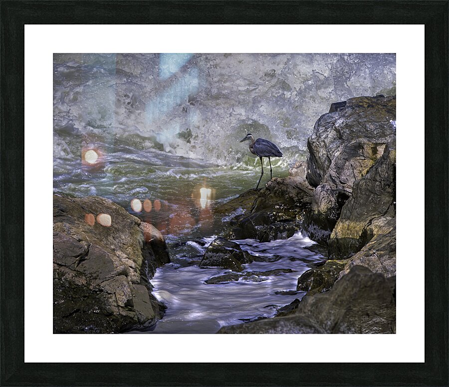 BIR 00291 Picture Frame print
