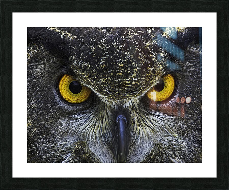 BIR 00290 Picture Frame print