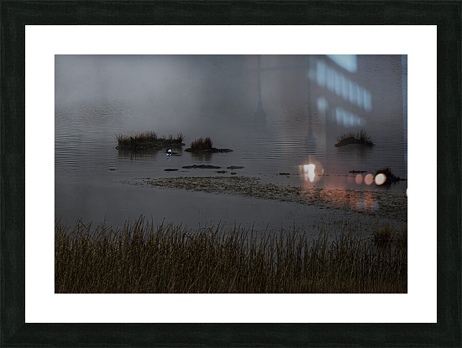 BIR 00322 Picture Frame print