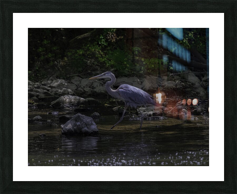 BIR 00335 Picture Frame print