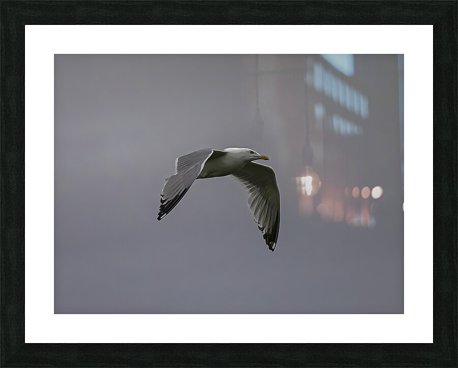 BIR 00314 Picture Frame print