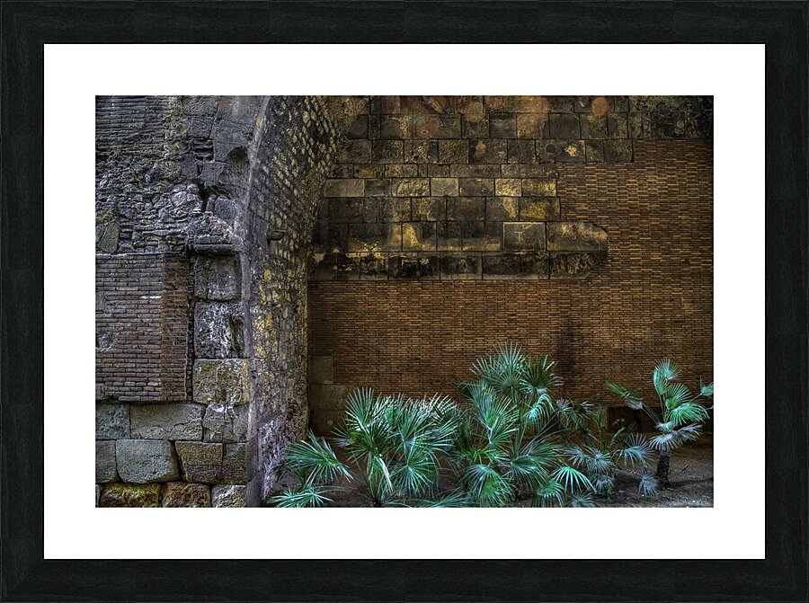 CIT 00376 Picture Frame print